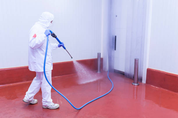 Best Graffiti Removal Services in Summit, IL